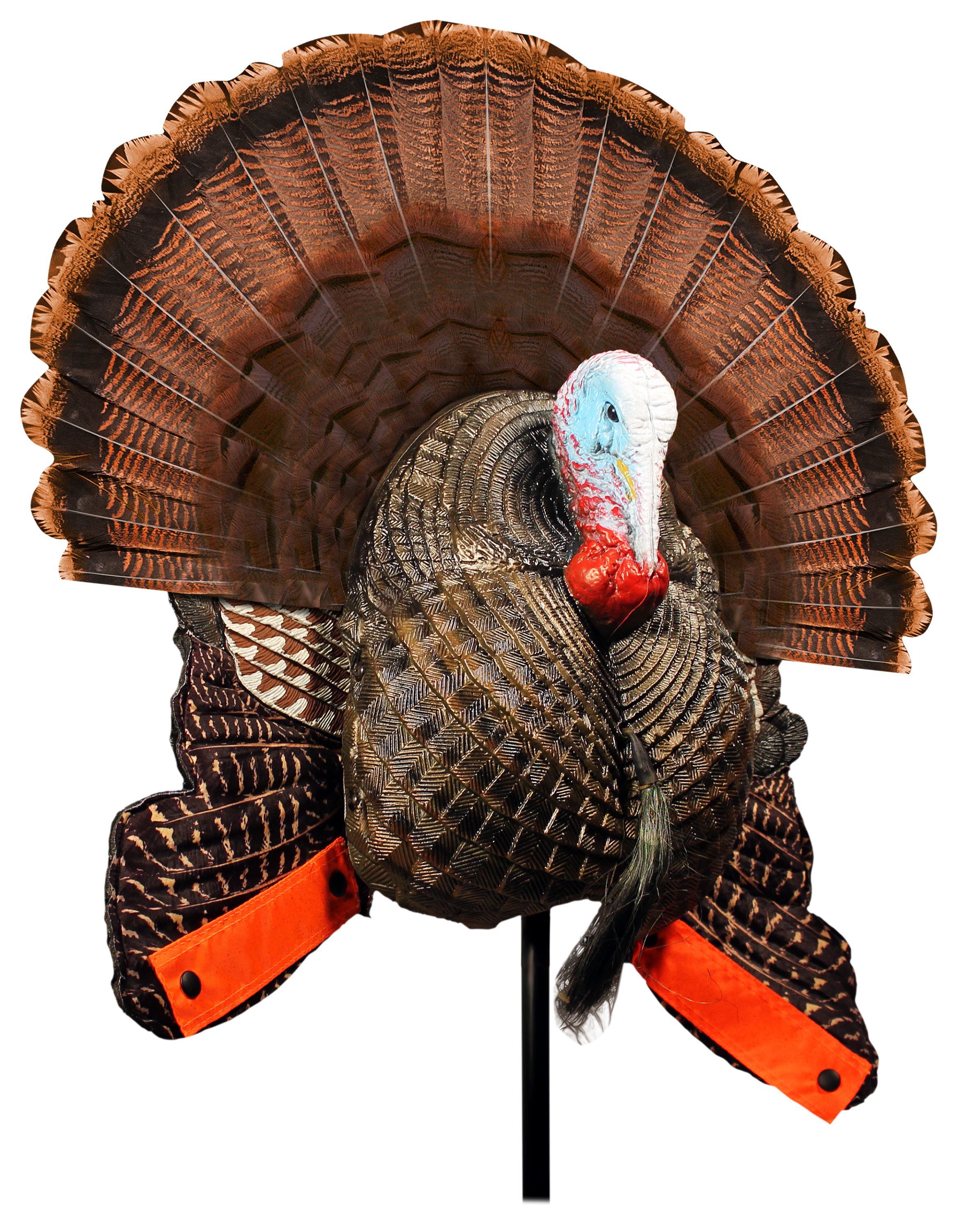 MOJO Outdoors Scoot N Shoot Turkey Decoy Bass Pro Shops